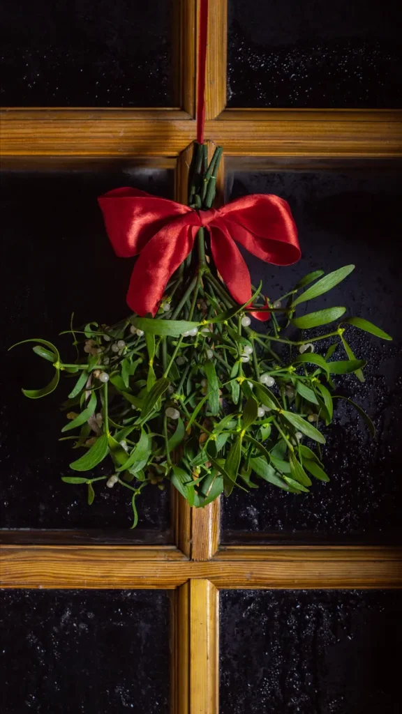 A picture of some mistletoe.
