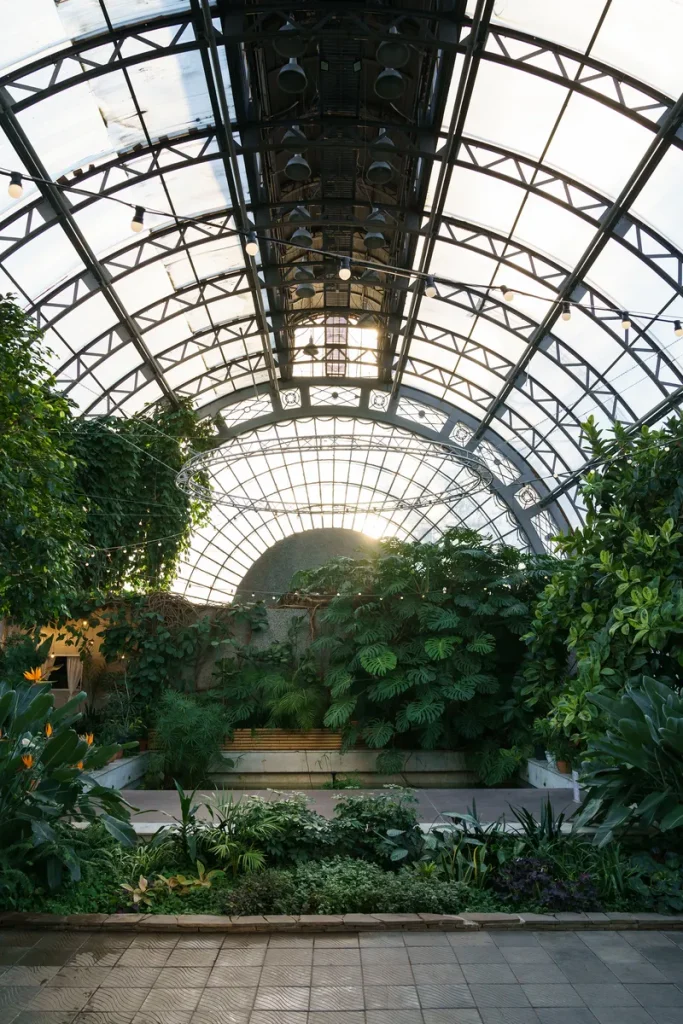 A conservatory filled with greenery at sunset.